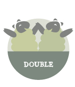 Double